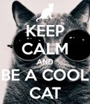 be a cool cat.jpg