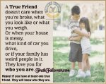A True Friend.jpg