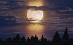 a full moon (2).jpg