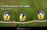 Born, Not Made.jpg