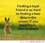 Cherish Your Friends.jpg