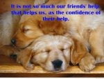 Confident Friends.jpg