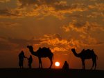 camels at sunset.jpg