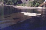 steel barge, Vermont.jpg