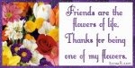 Flower Friends.jpg