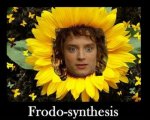 Frodo-synthesis.jpg