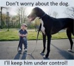Dog-under-control-300x266.jpg