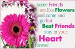 Friends Are Like Flowers.jpg