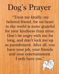 a dog's prayer.jpg