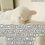 Cat Prayer.jpg