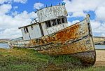 the beached Point Reyes.jpg