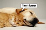 Friends Forever (4).jpg
