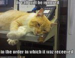customer service cat.jpg