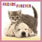 Friends Forever (5).jpg