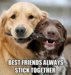 Friends Stick Together.jpg