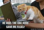 deleted fleas.jpg