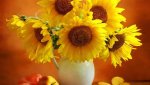 vase of sunflowers.jpg