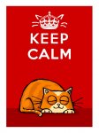 staycalm.jpg
