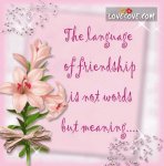 language of friendship.jpg