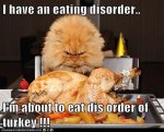 Eating Disorder.jpg