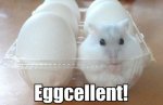Eggscellent Mouse.jpg