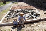 Exploringteddies6.jpg Exploringteddies6.jpg