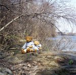 Exploringteddies.jpg Exploringteddies.jpg