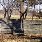 BartramsGarden2.jpg BartramsGarden2.jpg