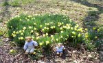 Exploringteddies3.jpg Exploringteddies3.jpg