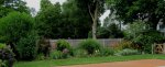 pool garden july 2.jpg
