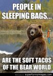 37c1451d36_Animal-Memes-----Soft-tacos-of-the-bear-world.jpg