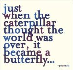 butterfly-strength-picture-quote.jpg