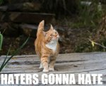 Haters Gonna Hate-1.jpg