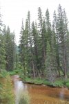 IMG_8591.jpg