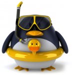 pingouin1.jpg