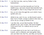 Branches full verses.png