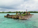 at Palmyra Atoll.jpg