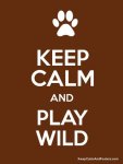 Keep_Calm_And_Play_Wild.jpg Keep_Calm_And_Play_Wild.jpg