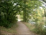 Attenborough Nature Reserve.jpg