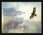 Isaiah 40v28-31.jpg