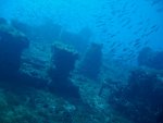 the Ennerdale wreck.jpg