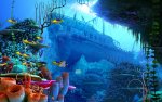 underwater-11163.jpg