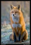 8233941-lg.jpg