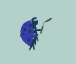 ninjaladybug.png