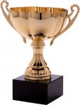 award-trophies-trophy2.jpg