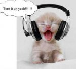 music kitty.jpg