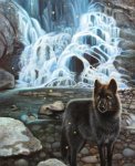Pierce-Black-Wolf-artsyhome.jpg