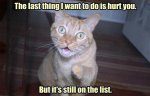 on the list.jpg