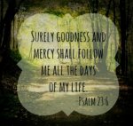 Psalms 23.jpg