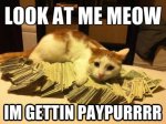 Paypurr.jpg